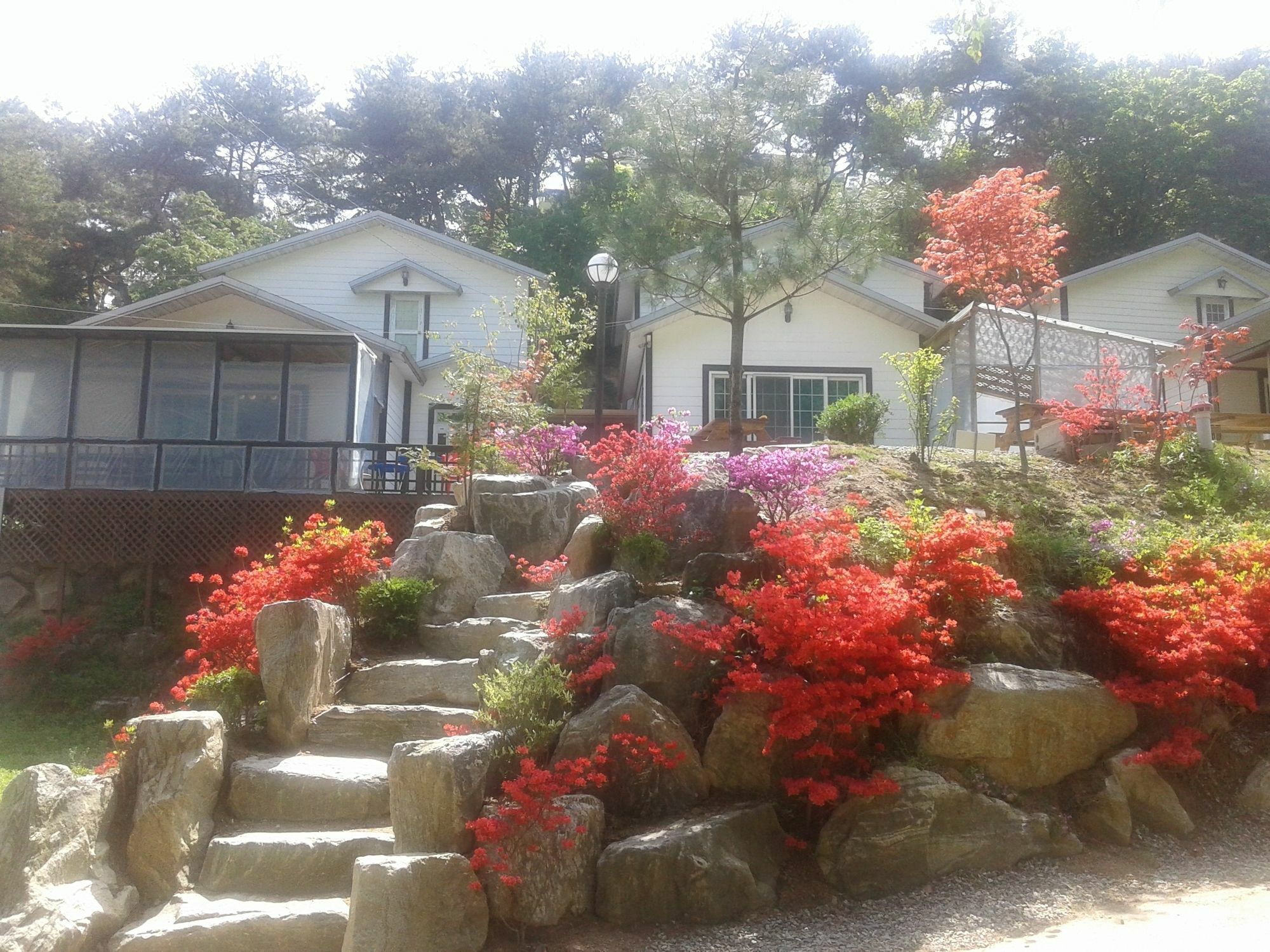 Hwangto Green Village Pension Yongin Ngoại thất bức ảnh